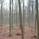 Landbahnhof Buschhof 2 Og Mit Gartensauna * Schwarz (Mecklenburgische Seenplatte)