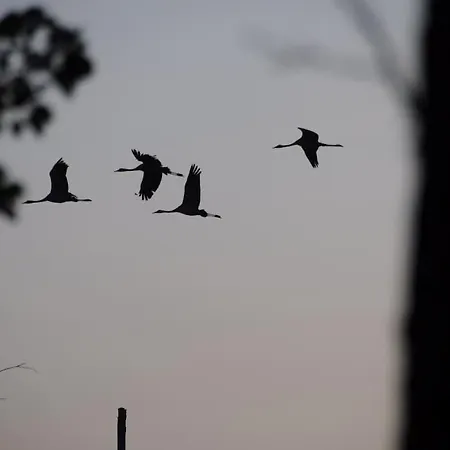 Landbahnhof Buschhof 2 Og Mit Gartensauna Schwarz (Mecklenburgische Seenplatte)