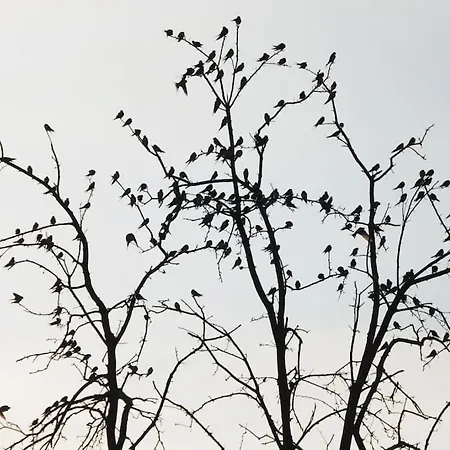 Landbahnhof Buschhof 2 Og Mit Gartensauna Apartment Schwarz (Mecklenburgische Seenplatte)