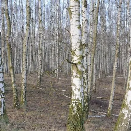 Landbahnhof Buschhof 2 Og Mit Gartensauna * Schwarz (Mecklenburgische Seenplatte)
