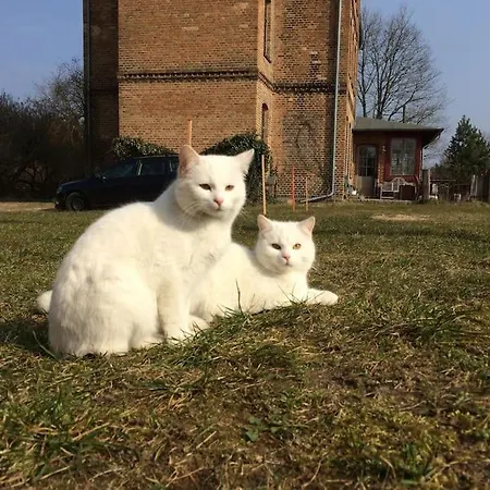 Apartment Landbahnhof Buschhof 2 Og Mit Gartensauna *