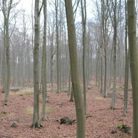 Landbahnhof Buschhof 2 Og Mit Gartensauna * Schwarz (Mecklenburgische Seenplatte)