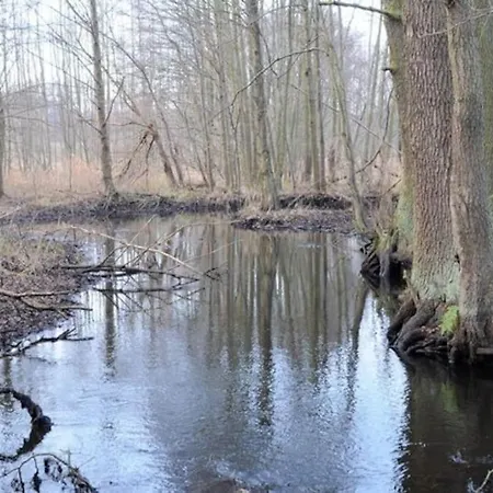 Landbahnhof Buschhof 2 Og Mit Gartensauna Apartment Schwarz (Mecklenburgische Seenplatte)